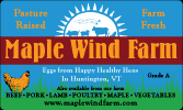 Maple Wind Egg