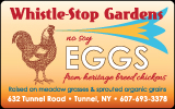 Whistle Stop Farm Eggs