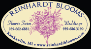 Reinhardt Blooms