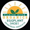 Clarion River Eggplant